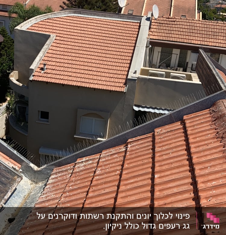 דוקרנים על גגות רעפים למניעת יונים